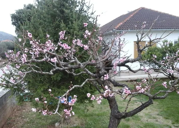 アパート Nada トロギール