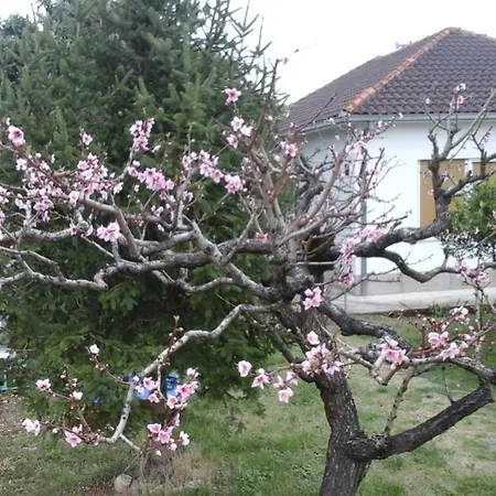 Apartament Nada Trogir