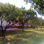Nada トロギール